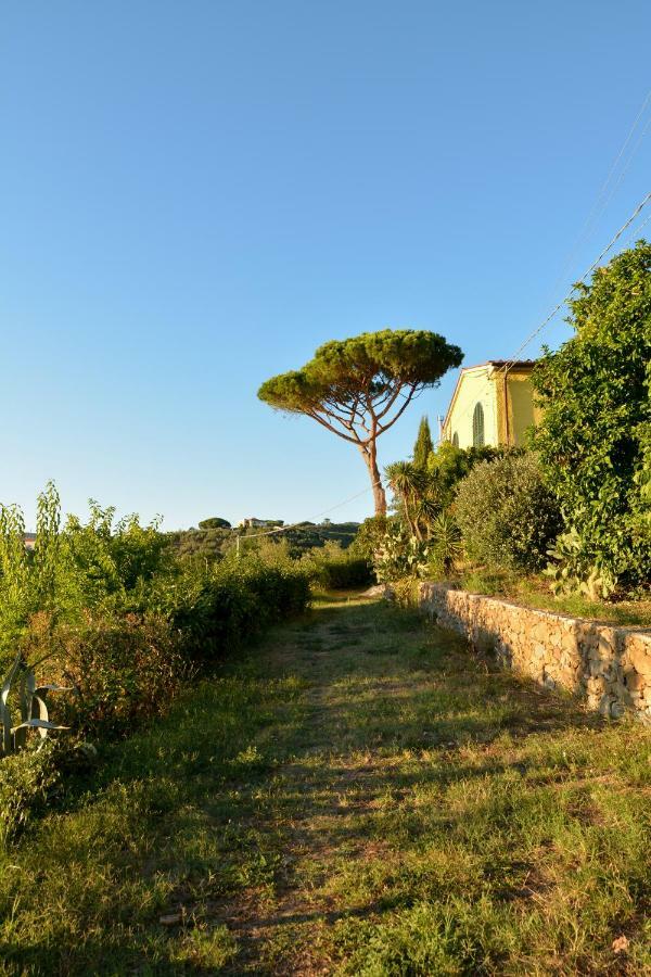 Agriturismo Podere Rondinaio Lamporecchio Exterior photo